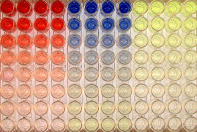 酶聯(lián)免疫吸附測(cè)定（ELISA）常見問題解析